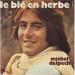 Michel Delpech - Le Blé En Herbe