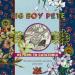 Big Boy Pete - Return To Catatonia: The Further Adventures Of Pete Miller