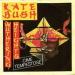 Kate Bush - Wuthering Heights