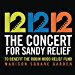 Various Artist - 12-12-12 The Concert For Sandy Relief