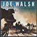 Walsh Joe (joe Walsh) - You Bought It You Name It