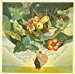 Return To Forever - Musicmagic