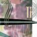 Paul Haig - The Only Truth