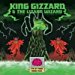King Gizzard & Lizard Wizard - King Gizzard & Lizard Wizard - Im In Your Mind Fuzz