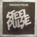 Steel Pulse - Prediction