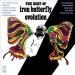 Iron Butterfly Evolution(441) - The Best Of...(441)