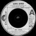 Gaynor, Gloria - I Will Survive / Anybody Wanna Party?