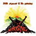 Bob Marley & Wailers - Uprising