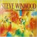 Winwood (steve) - Talking Back To The Night