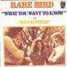 Rare Bird - What You Want To Know