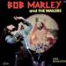 Bob Marley & The Wailers - Soul Revolution