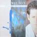 Wilson - Brian Wilson