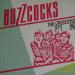 Buzzcocks - Peel Sessions Album (import) By Buzzcocks