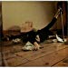 Kate Bush - Kate Bush Babooshka Uk 45 7 Single +picture Sleeve
