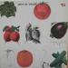 Cream - Best Of Cream