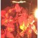 Thee Hypnotics - Justice In Freedom