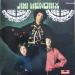 Jimi Hendrix Experience (the) - Are You Experience