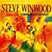 Winwood Steve (steve Winwood) - Talking Back To The Night