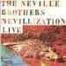 Neville Brothers - Nevillization Live - 2cd