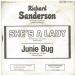 Richard Sanderson - She's A Lady