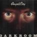 Angel City - Darkroom