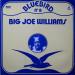 Williams Big Joe (37/45) - Big Joe Williams