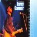 Garner Larry (2001) - Embarrassment To The Blues