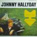 Johnny Hallyday - Trifft Die Rattles
