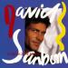 Sanborn (david) - A Change Of Heart