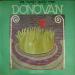 Donovan - Hurdy Gurdy Man