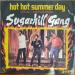 Sugarhill Gang - Hot Hot Summer Day - *