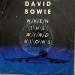 Virgin - David Bowie - When The Wind Blows