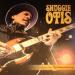 Otis Shuggie (2015) - Live In Williamsburg