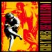 Guns N Roses - Use Your Illusion 1