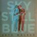 Walker Seth (14) - Sky Still Blue