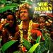 Joe Dassin - L'été Indien (africa)