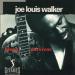 Walker Joe Louis - Blues Survivor