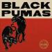 Black Pumas - Black Pumas