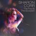 Sharon Corr - Fool & Scorpion