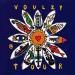 Laurent Voulzy - Voulzy Tour