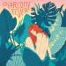 Charlotte Fever - Charlotte Fever