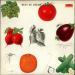 Cream - Best Of Cream