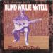 Mc Tell Blind Willie (35) - Blues In The Dark