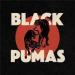 Black Pumas - Black Pumas