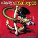 Slash's Snakepit - It's Five O'clock Somewhere