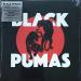 Black Pumas - Black Pumas