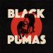 Black Pumas (19) - Black Pumas