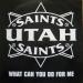 Utah Saints - What Can You Do For Me