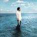 Laurent Voulzy - La Septieme Vague