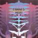 Canned Heat - One More River To Cross